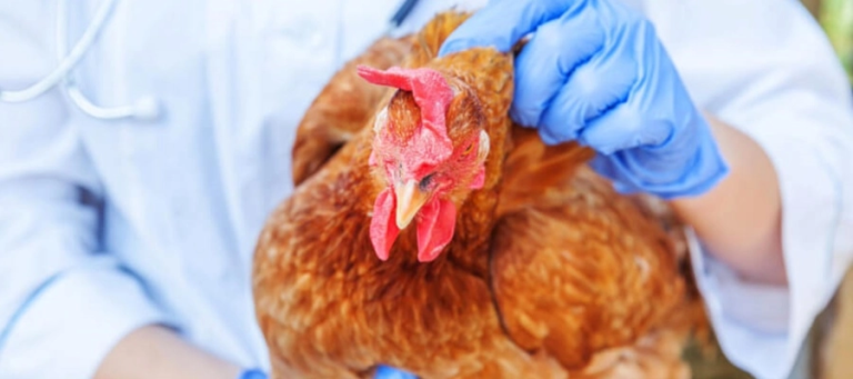 54dc90c38378d26ec7478cc8ed840fc5