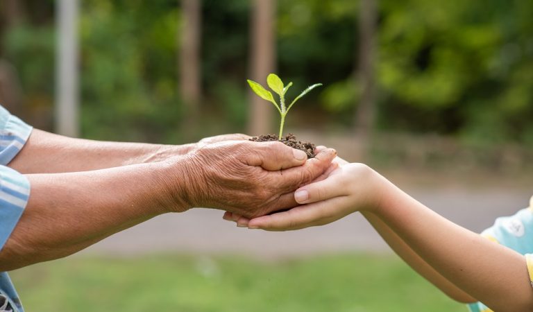 between the hands of the elderly and children